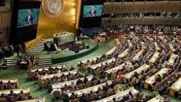 الجمعية العامة للأمم المتحدة.