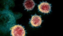 مدير صحة بيت لحم: توقعات بحدوث تفشي للسلالات الجديدة لفيروس 