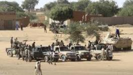 هجوم مسلح غرب دار فور يودي بحياة 48 شخص
