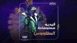 من هو شخصية الطاووس في برنامج انت مين the masked singer ؟