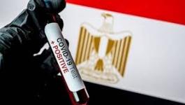 مصر تُشرع بتوزيع اللقاحات المضادة لفيروس كورونا