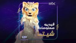 من هي شخصية شيتا في برنامج انت مين the masked singer ؟