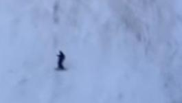 متزلج يهرب من مطاردة دب ضخم