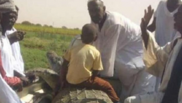 مزارع سودانى يصطاد تمساح ضخم طوله 5 أمتار.. طارده لمدة 21 يوم