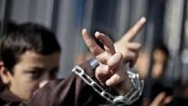 مركز فلسطين: ارتفاع عدد الأسرى الإداريين في سجون الاحتلال لـ535