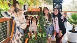 بالصور: حديقة حيوان إماراتية تحتفل بعيد ميلاد زرافة