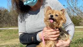 كلب يعود إلى صاحبته بعد 13 عام في تينيسي