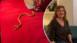 شاهدوا: حكاية سيدة هولندية عثرت على ثعبان فى السرير