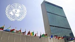 مفوضية الأمم المتحدة السامية لحقوق الإنسان