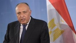 وزير الخارجية المصري: الجهود مستمرة لمحاولة التوصل لوقف إطلاق النار بين غزّة و