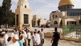 مستوطنون يقتحمون المسجد الأقصى بحراسة مشددة
