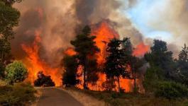 وفاة شخصين وإصابة 23 آخرين في حريق غابات شرق الجزائر 