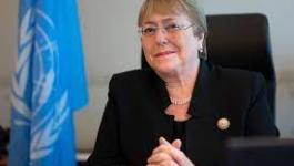 المفوض السامي للأمم المتحدة تُعرب عن قلقها إزاء الوضع في فلسطين
