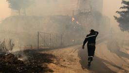 الجزائر تتهم مجموعتين بإشعال حرائق الغابات المدمرة