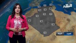 تفاصيل سبب وفاة امينة صحراوي في مشافي الجزائر