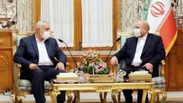 وفد حماس يلتقي برئيس مجلس الشورى الإسلامي في إيران
