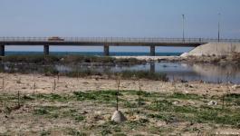 سرحان: نعمل على توفير مبالغ لشبكة الإضاءة في منطقة جسر وادي غزة