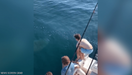 بالفيديو: .شابين يقفزان فوق سمكة قرش ..جنون أم شجاعة؟