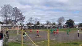 كلب يقتحم مباراة كرة قدم في تشيلي ويتسبب فى هدف