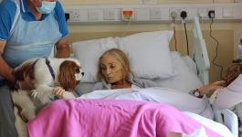 لحظة وداع سيدة بريطانية لحيواناتها الأليفة من فراش مرض عضال