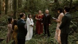 عروسان يقيمان حفل زفافهما في غابة بأمريكا وعدد المعازيم 5