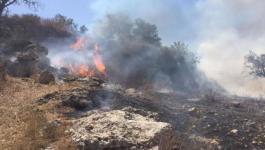 مستوطنون يضرمون النار بأراضي حوسان في بيت لحم