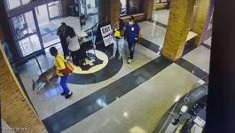 بالفيديو: غزال شارد يقتحم مستشفى في لويزيانا