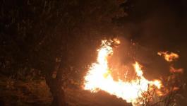 اندلاع حريق كبير في وادي بمدينة القدس المحتلة