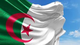 الجزائر: شباب يربحون رهان 