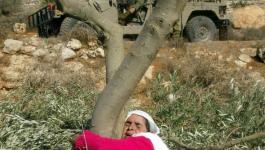 حركة فتح: الأم الفلسطينية رمز الصمود والبقاء على الأرض