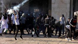 الخارجية الأردنية تستنكر اقتحام شرطة الاحتلال للمسجد الأقصى والاعتداء على المصلين