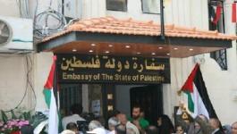 القاهرة: الكشف عن اتفاق لتدريس الطلبة الفلسطينيين السينما عن بعد مجانًا 
