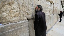نصف الإسرائيليين يؤيدون السماح بإقامة الصلوات اليهودية في باحات الأقصى