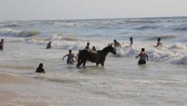الحكم المحلي بغزّة تُصدر تنويهًا بشأن منع اصطحاب الحيوانات والدراجات النارية على شاطئ البحر