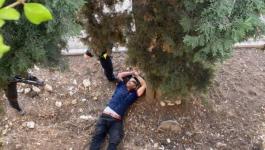 الاحتلال يطلق النار على شاب بزعم تنفيذه عملية طعن شرق القدس