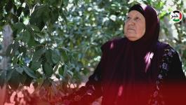 الانتهاكات الإسرائيلية تُلاحق المزارعين الفلسطينيين بغزّة في قوت يومهم