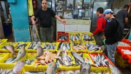 سوق الأسماك في إسرائيل