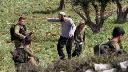 مستوطنون يقطعون أشتال الزيتون في نابلس