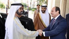 السيسي يستقبل نائب رئيس دولة الإمارات 