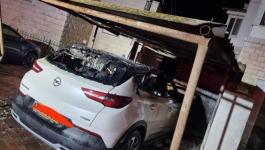 الداخل المحتل: مجهولون يحرقون 4 سيارات في مدينة نوف هجليل