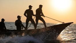 غزّة: الشرطة البحرية تُصدر تحذيرًا للصيادين بشأن سمك 