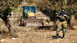 الاحتلال يتسبب باحتراق أشجار زيتون في تقوع