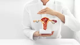 حقائق عن الرحم يجب أن تعرفها كل النساء