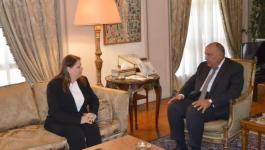 وزير الخارجية المصري شكري وزوجة الأسير مروان البرغوثي