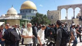مفتي القدس يحذّر من تداعيات اقتحام المسجد الأقصى