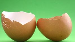 تقنية طبية واعدة.. علاج العظام ممكن بقشور البيض