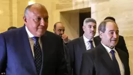 وزير الخارجية السوري والمصري