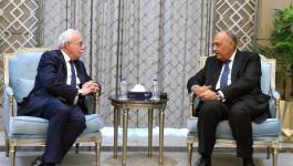 سامح شكري يلتقي وزير خارجية فلسطين لبحث الأوضاع وانتهاكات الاحتلال 