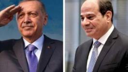 أردوغان يوجه دعوة لنظيره المصري لزيارة تركيا