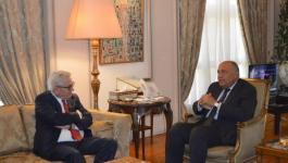 وزير الخارجية المصرية يبحث مع وينسلاند التطورات الفلسطينية